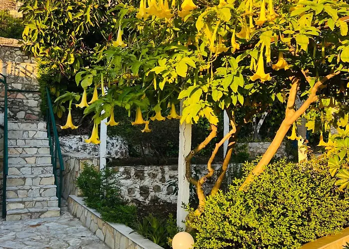 Dolce Villa Saranda